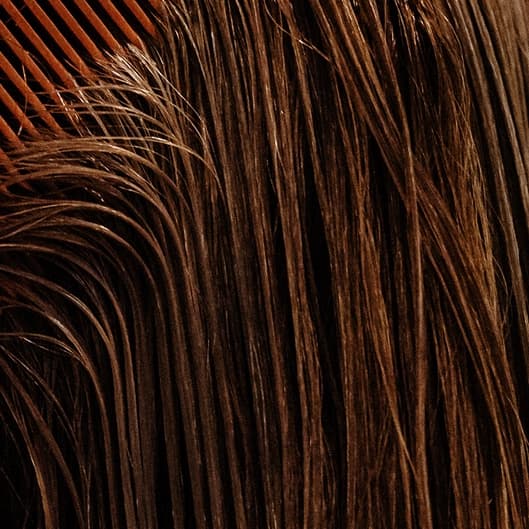 Color Refresh - 5 Visits Package at Hello Beautiful Hair Studio in Rockport, ME